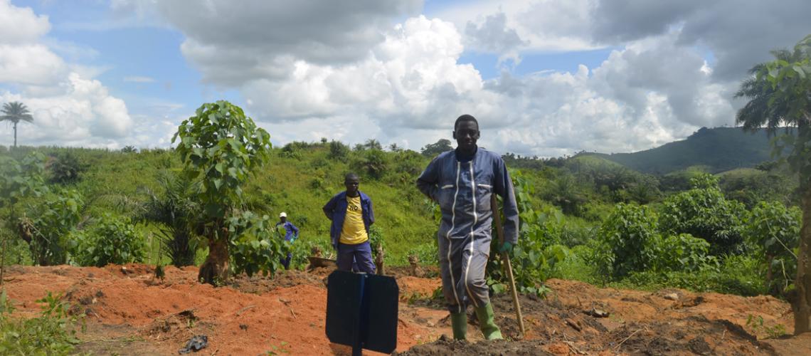 A Burial Site for Ebola victims in  Guéckédou, Guinea